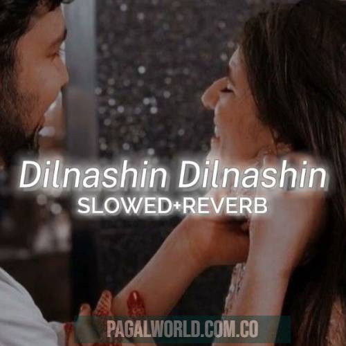 Dilnashin Dilnashin Slowed Reverb