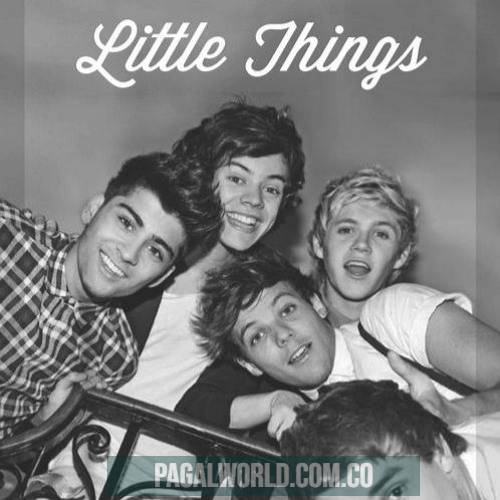 One Direction Little Things