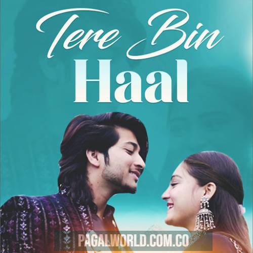 Tere Bin Haal