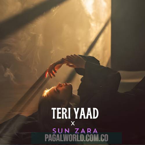 Teri Yaad X Sun Zara