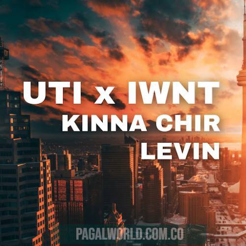 Uti X Iwnt X Kina Chir