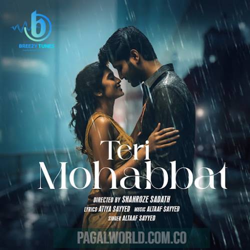 Teri Mohabbat