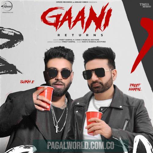 Gaani Returns