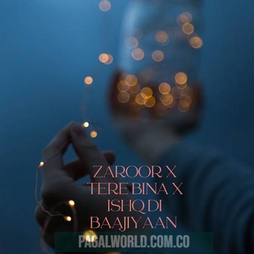 Zaroor X Tere Bina X Ishq Di Baajiyaan