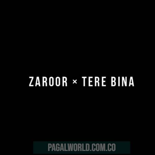 Zaroor X Tere Bina Slowed